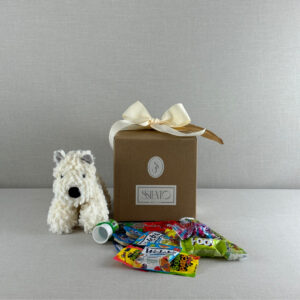 CAJA DE DULCES CON PELUCHE