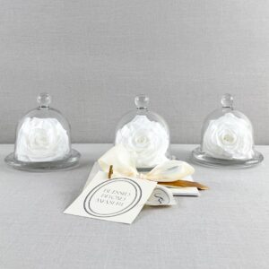 CAPELO DE CRISTAL CON ROSA PRESERVADA